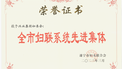 喜報(bào)！興業(yè)集團(tuán)婦委會(huì)榮獲“全市婦聯(lián)系統(tǒng)先進(jìn)集體”榮譽(yù)稱號(hào)