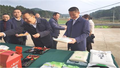 市委常委、政法委書(shū)記劉波濤帶隊(duì)調(diào)研指導(dǎo)定點(diǎn)幫扶村鄉(xiāng)村振興工作